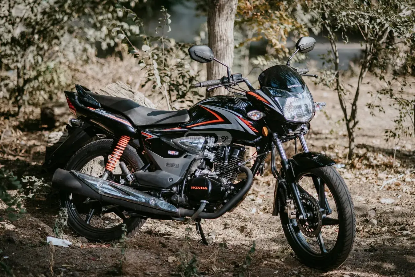 Honda Shine 