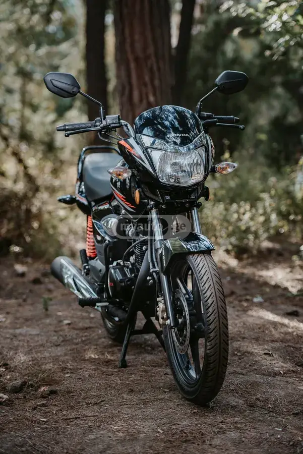 Honda Shine 