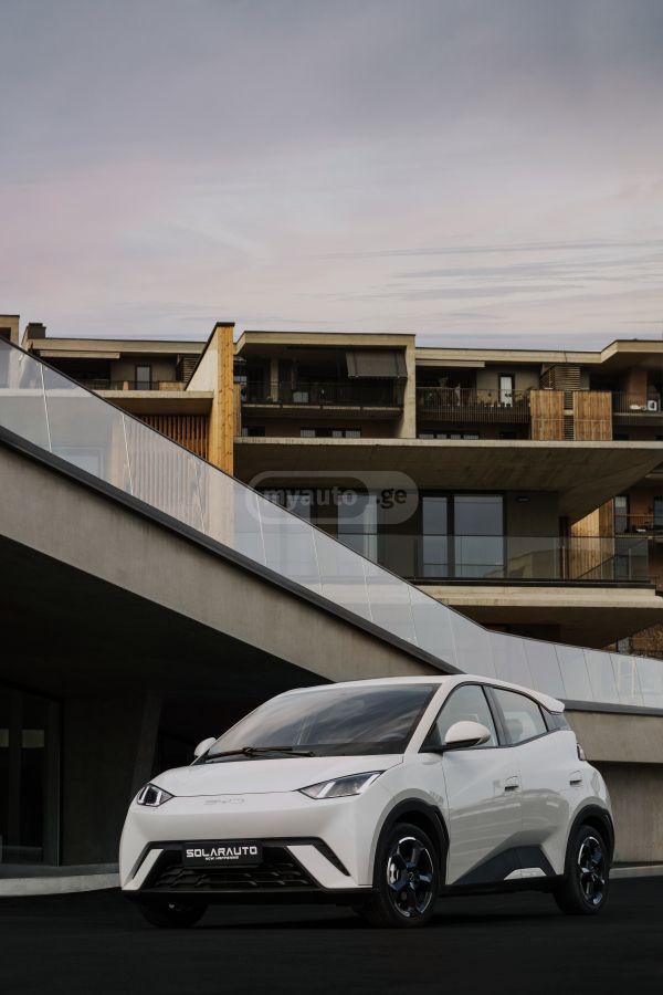 BYD Seagull