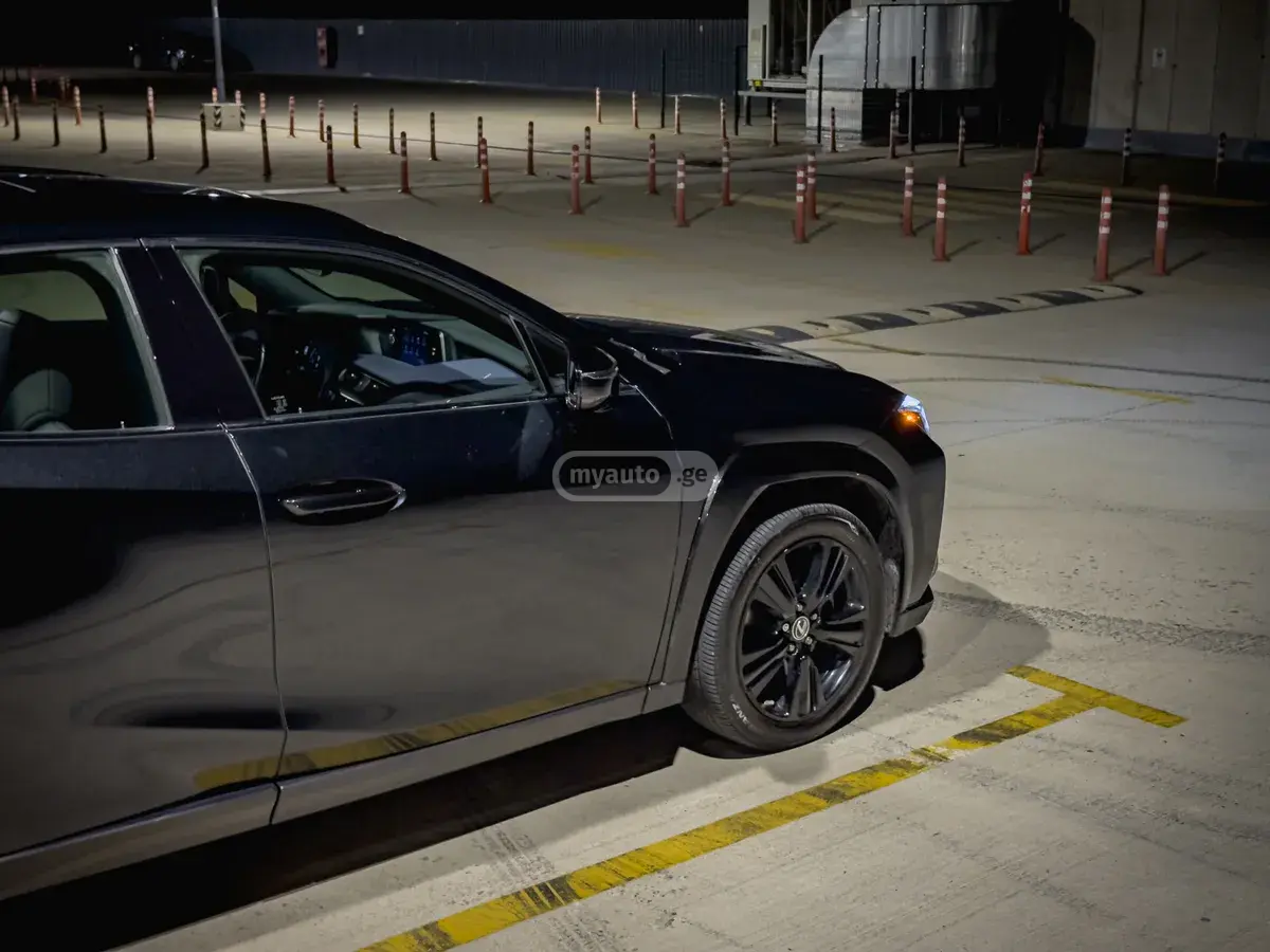 Lexus UX 250 h, миниатюра 4