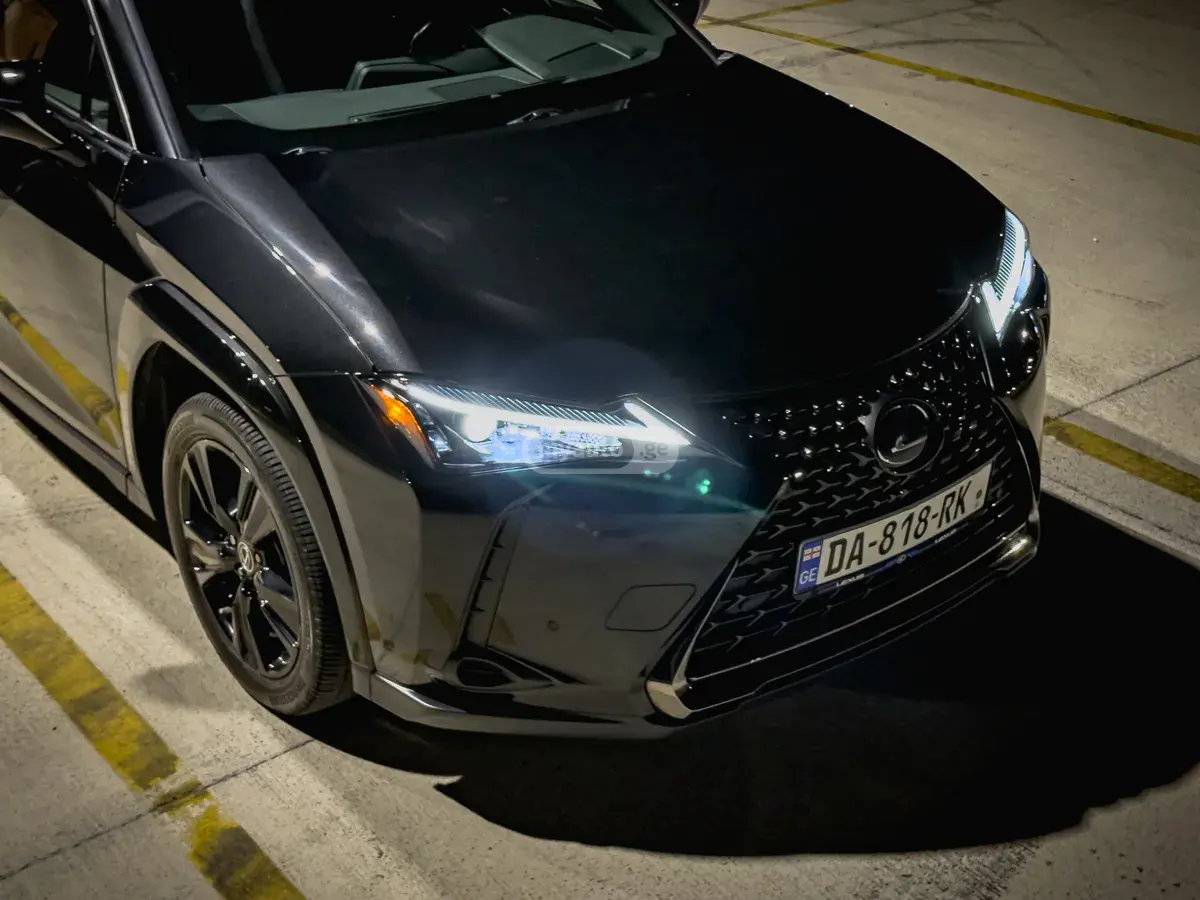 Lexus UX 250 h, миниатюра 6