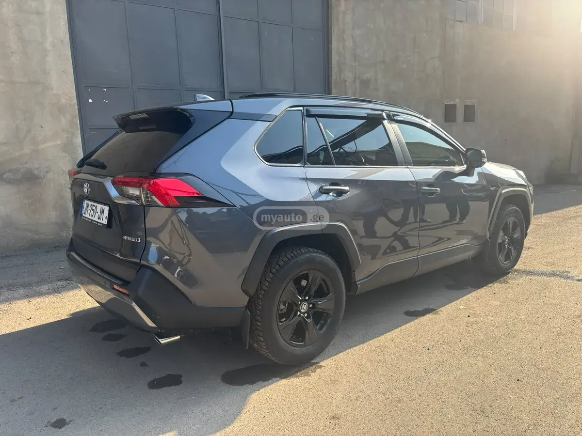 Toyota RAV4 RAV 4, миниатюра 14