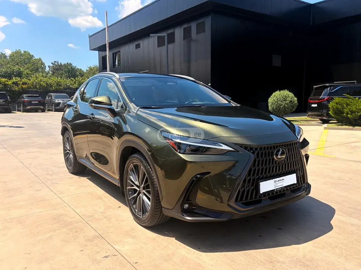 Lexus NX 250