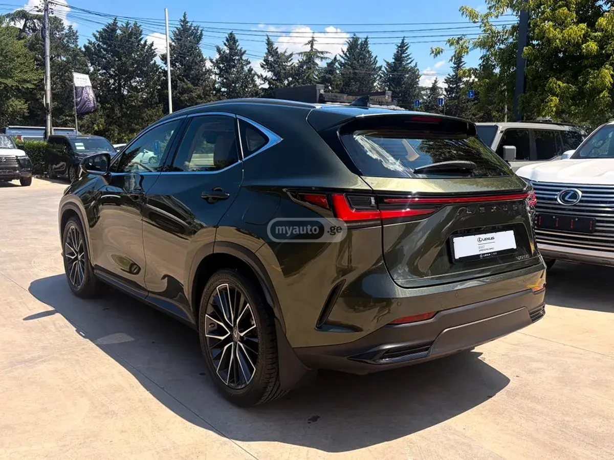 Lexus NX 250