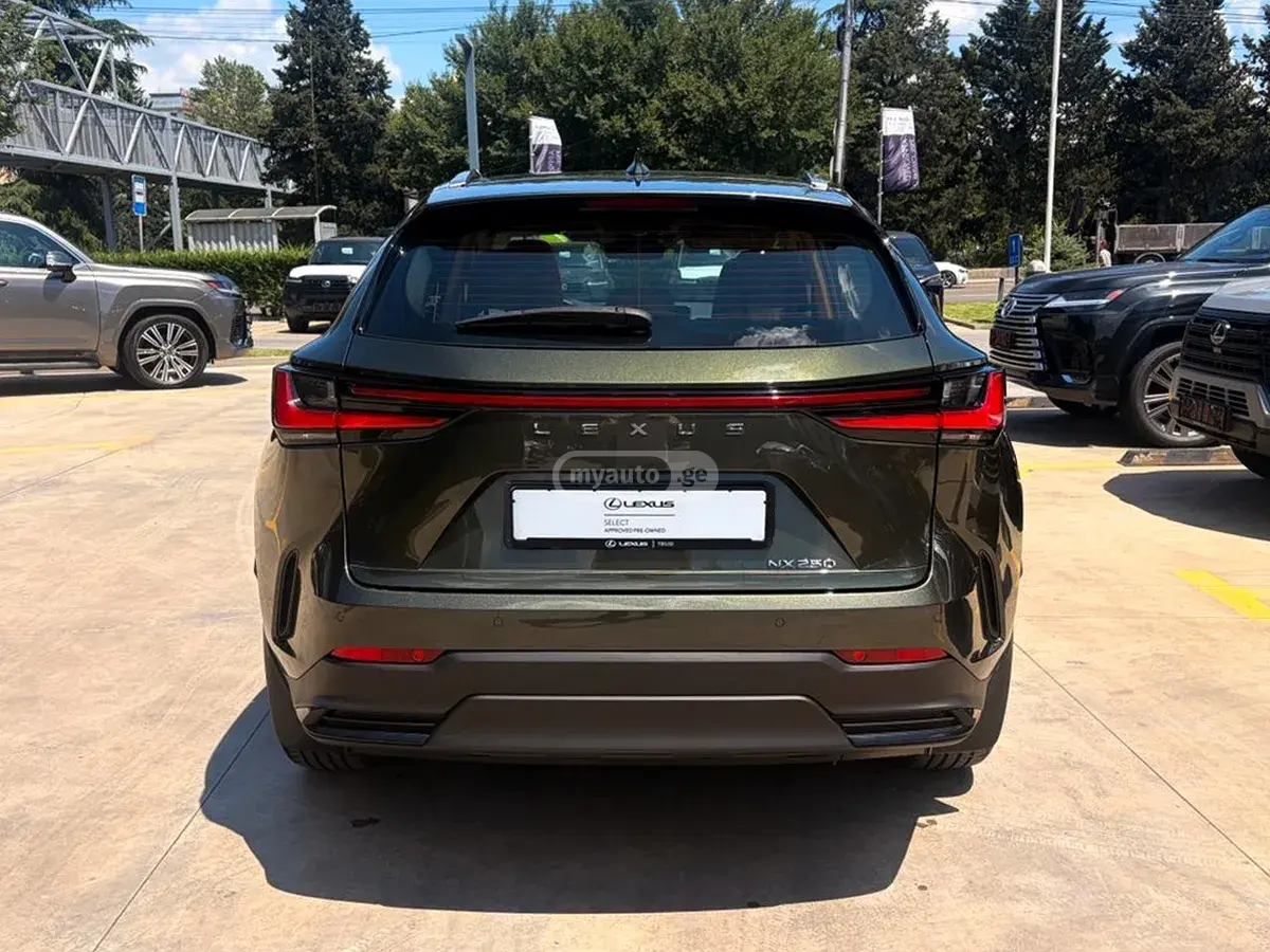 Lexus NX 250