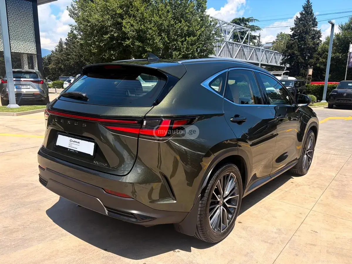 Lexus NX 250 