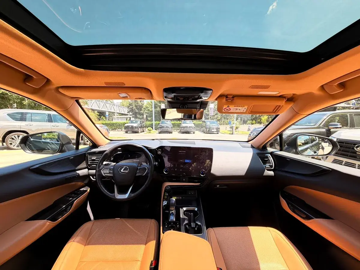 Lexus NX 250 