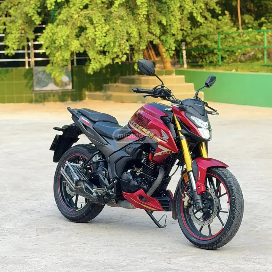 Honda Hornet