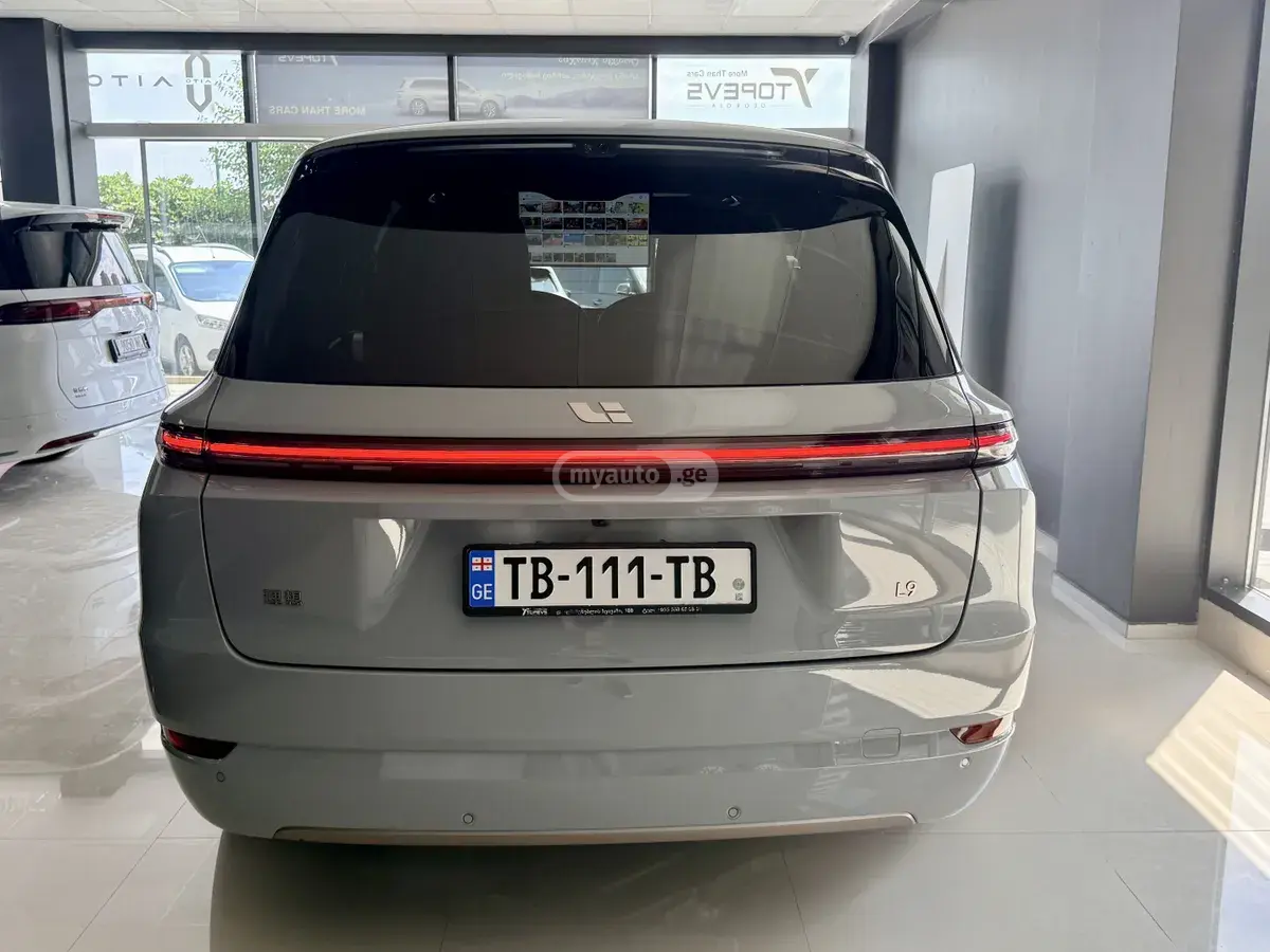 Lixiang I9