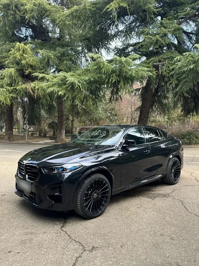 BMW X6, миниатюра 2