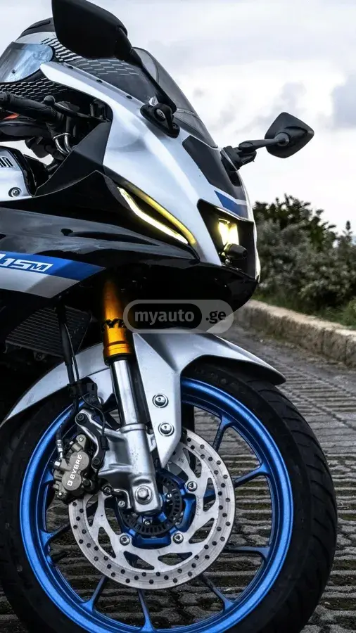 Yamaha R15 M
