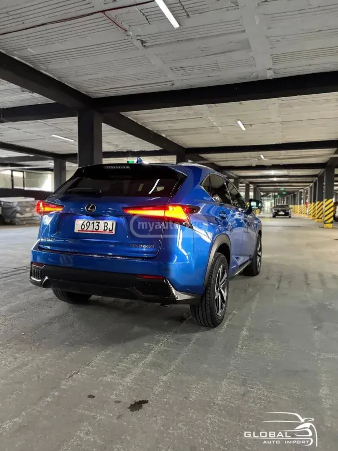 Lexus NX 300