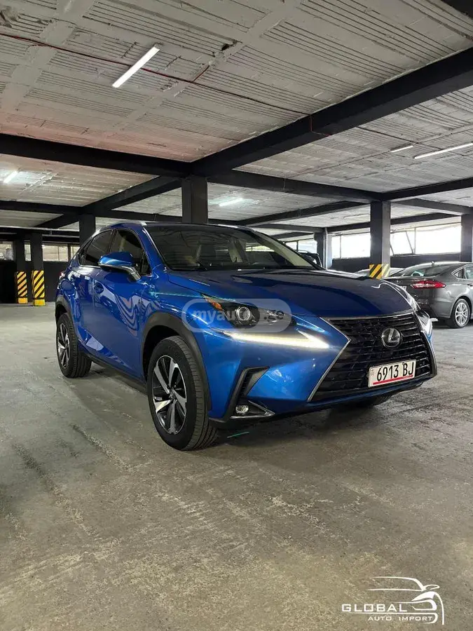 Lexus NX 300