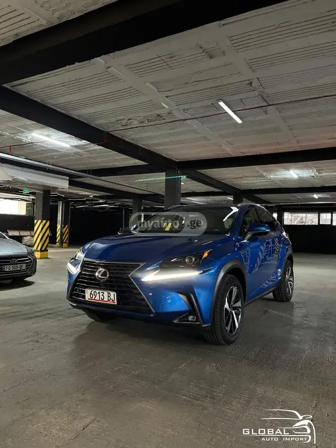 Lexus NX 300