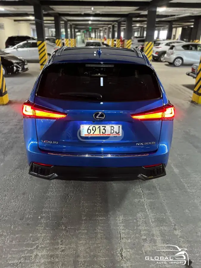 Lexus NX 300 