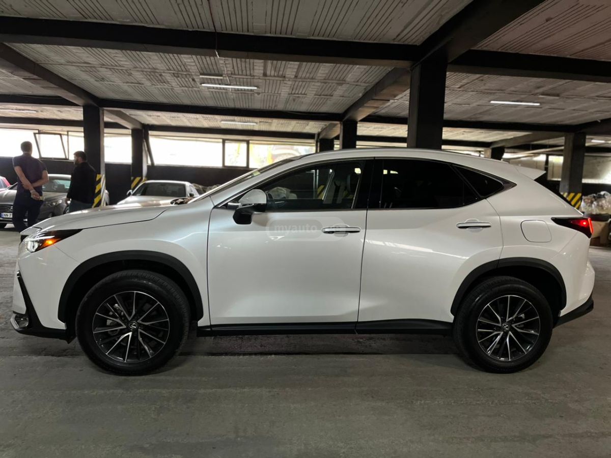 Lexus NX 350 