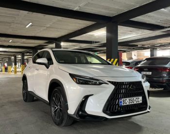 Lexus NX 350 