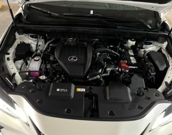 Lexus NX 350 