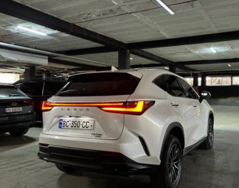 Lexus NX 350 