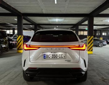 Lexus NX 350 