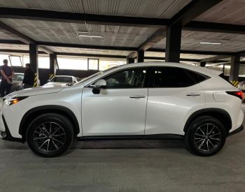 Lexus NX 350 