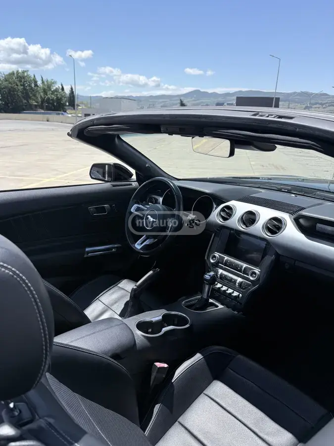 Ford Mustang, миниатюра 10