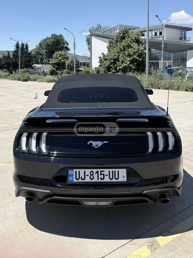 Ford Mustang, миниатюра 2
