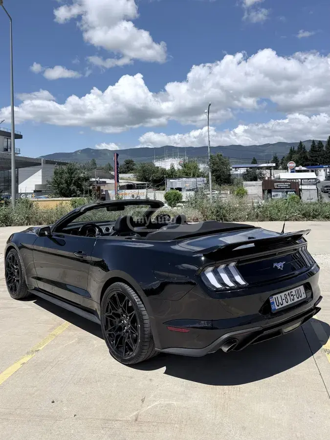 Ford Mustang, миниатюра 7