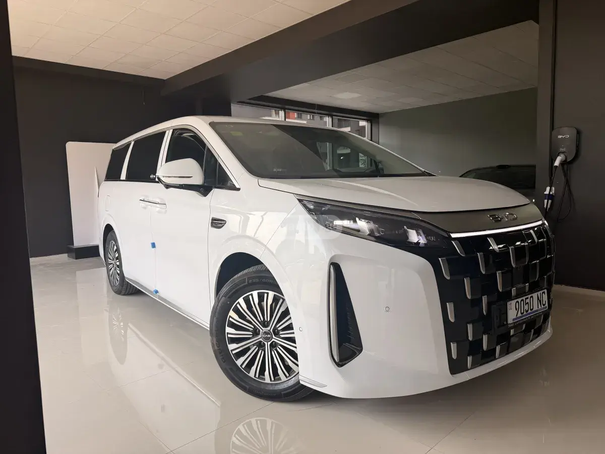 BYD M9