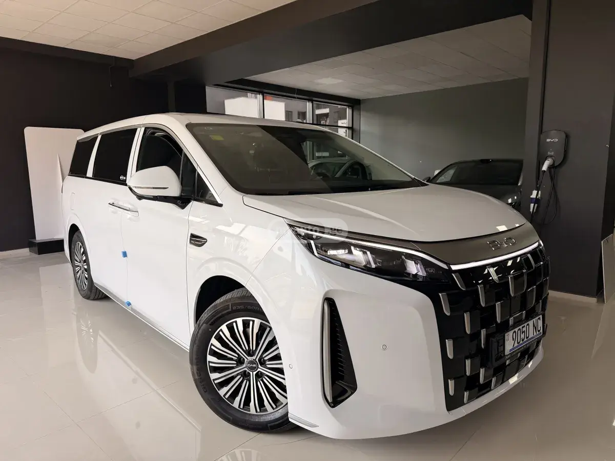 BYD M9 
