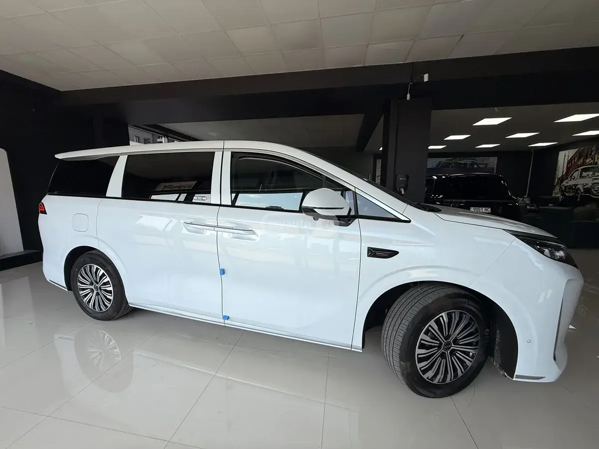 BYD M9