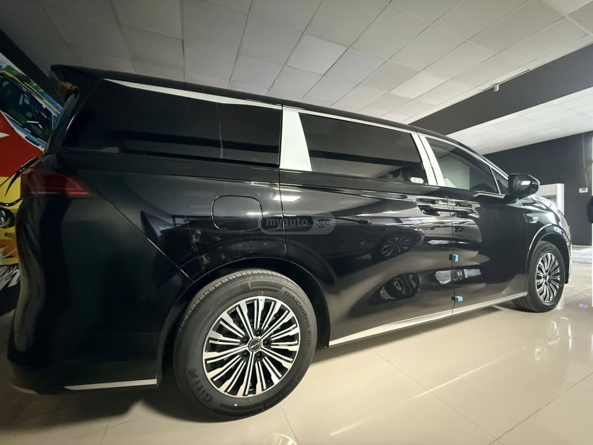 BYD M9
