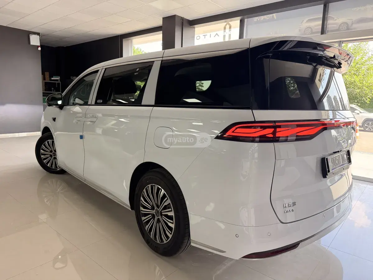 BYD M9