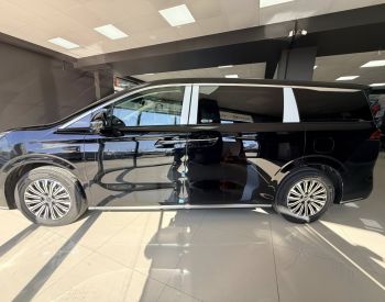 BYD M9 