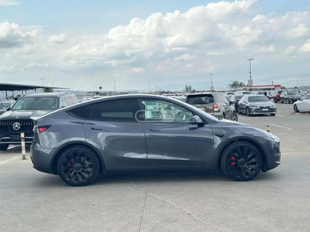 Tesla Model Y, миниатюра 2