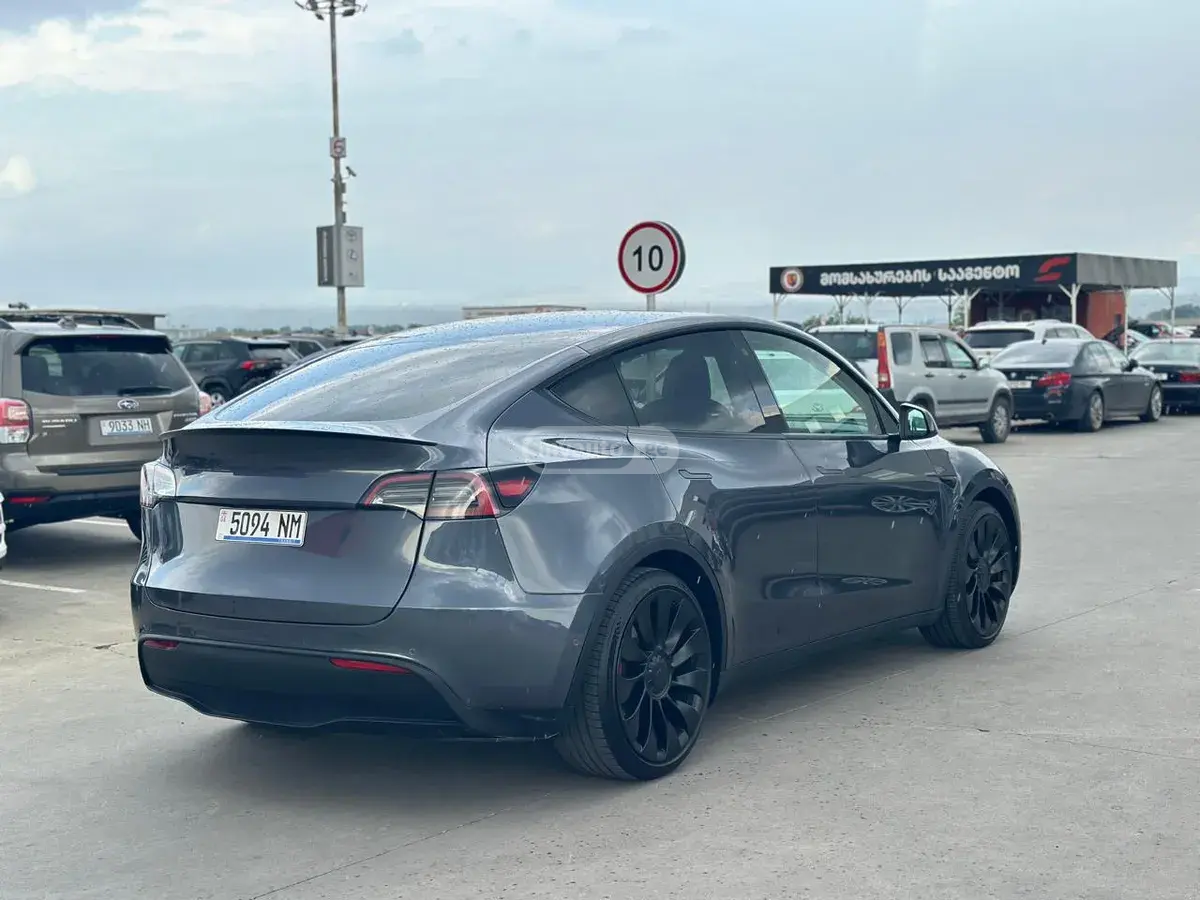 Tesla Model Y, миниатюра 3