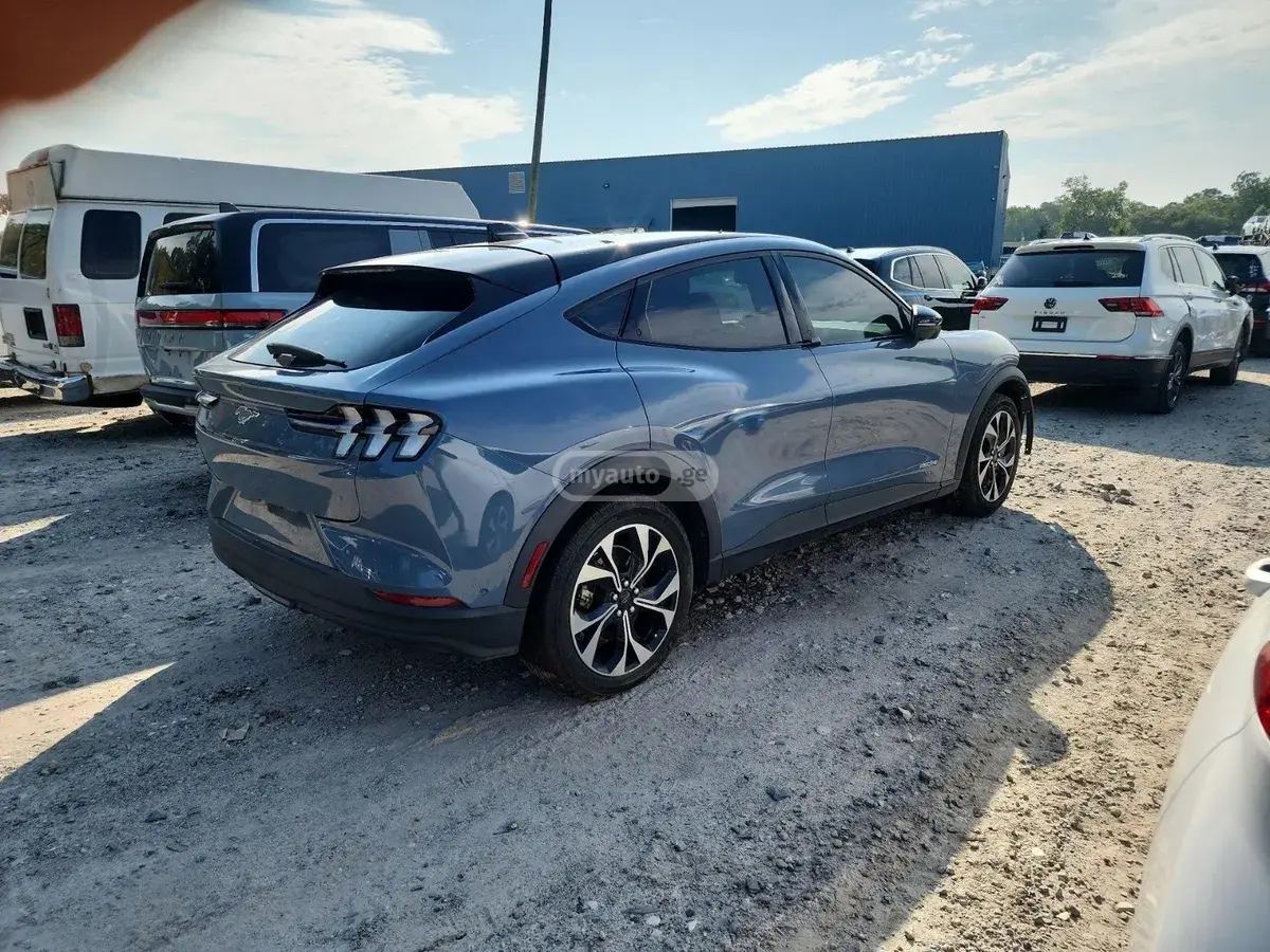 Ford Mustang Mach-E, миниатюра 10