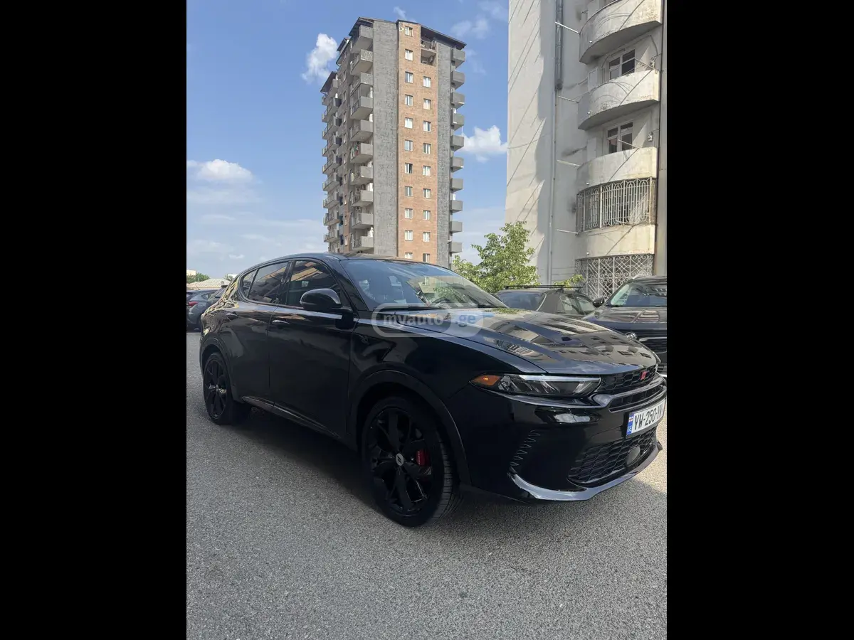 Dodge Hornet, миниатюра 3