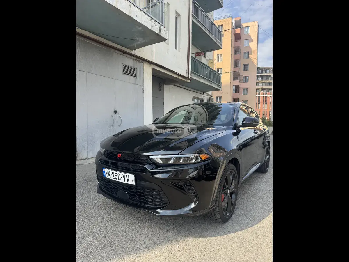 Dodge Hornet, миниатюра 4