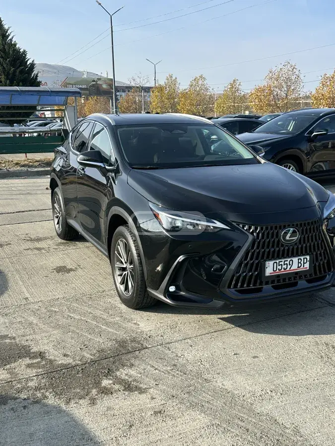 Lexus NX 350