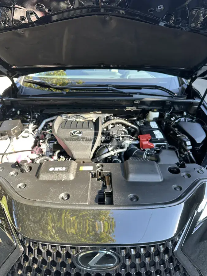 Lexus NX 350, миниатюра 10
