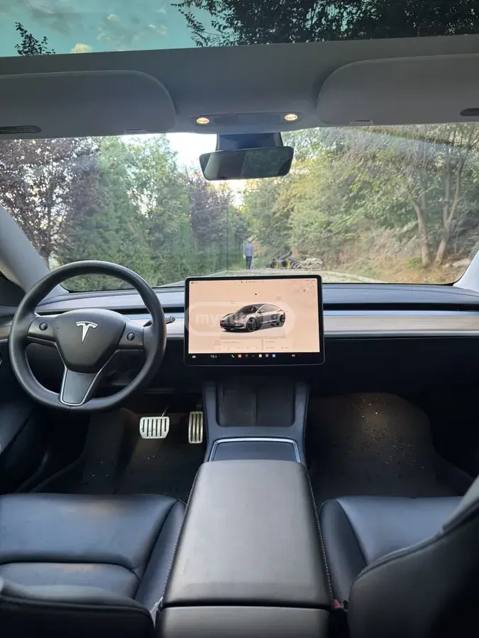 Tesla Model 3, миниатюра 8