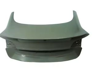 TESLA Model 3 2016-2023 - 1