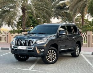 TOYOTA Land Cruiser Prado 2010 4.3 - 4