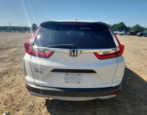 HONDA Cr-v 2020 1.5 - 4