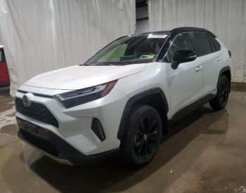 TOYOTA RAV 4 2019 2.5 - 1