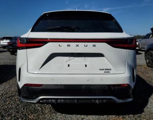LEXUS NX 350 2023 2.4 - 3