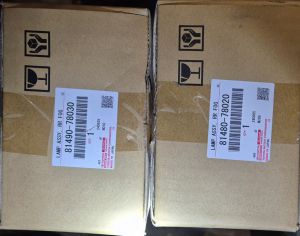 LEXUS NX 350 2023-2024 - 2