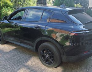 DODGE Hornet 2023 1.3 - 6