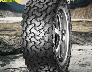 R17 225/65 ყველა სეზონი - 5